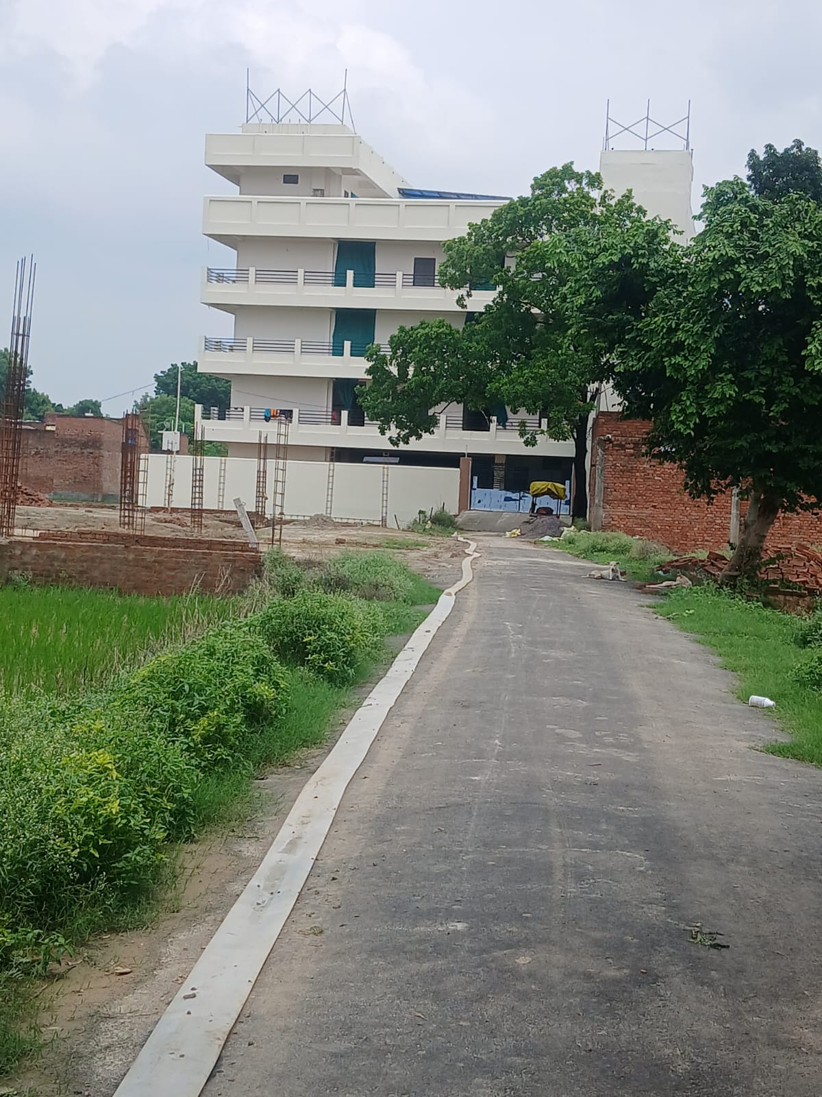 23550 sqft plot in Mutthi Ganj, Soraon