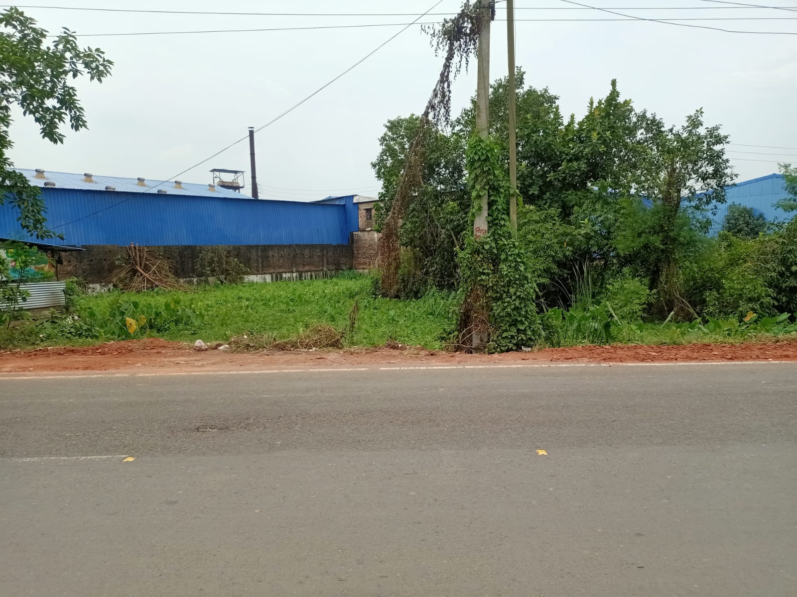 5400 sqft plot in Gaighata