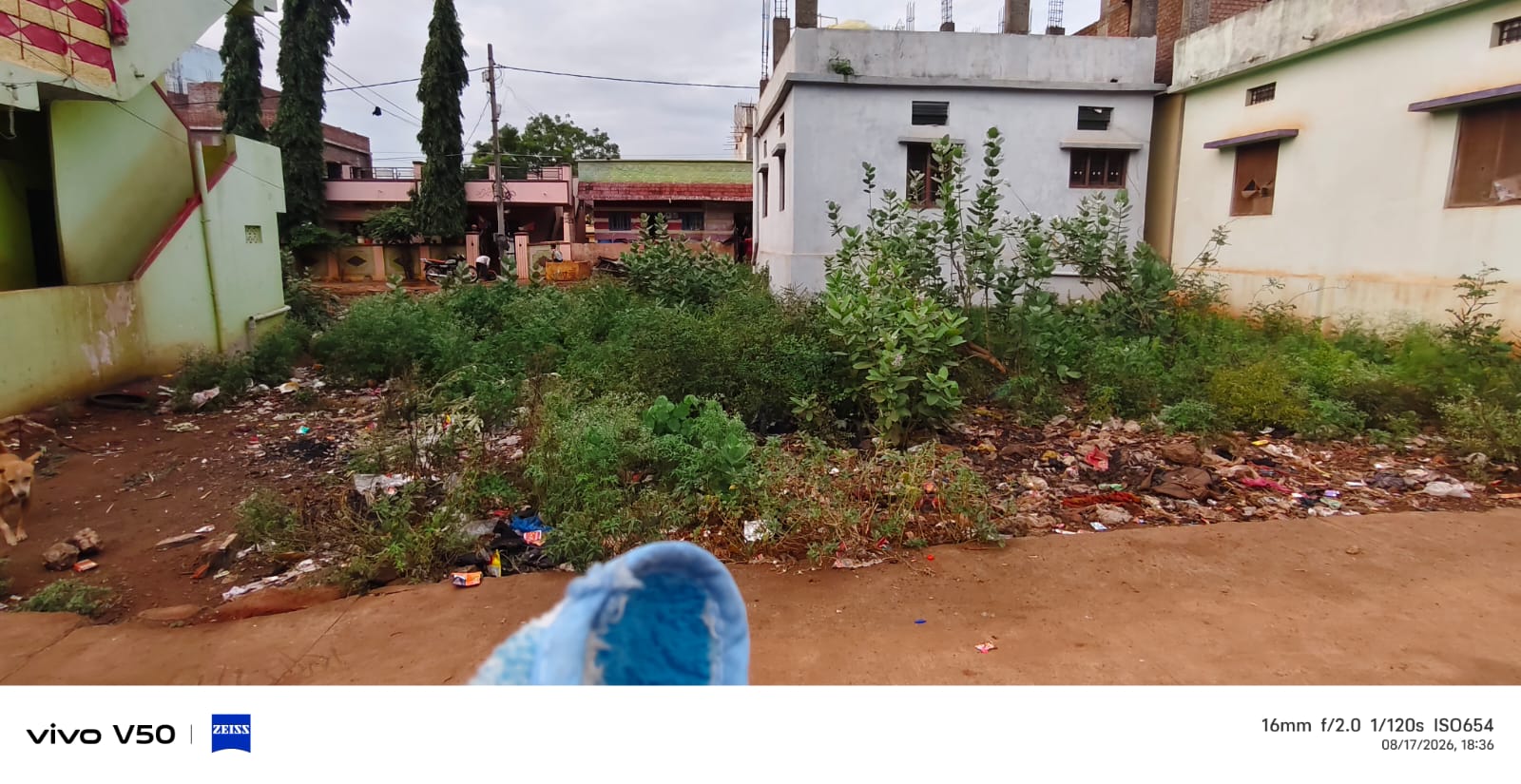 1400 sqft plot in Teacher's Colony, Homnabad