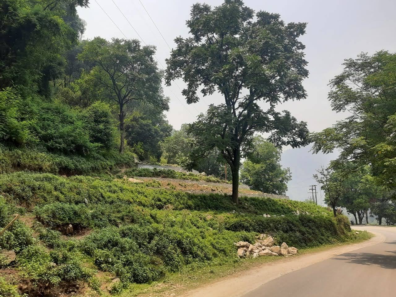 12960 sqft plot in Madkote