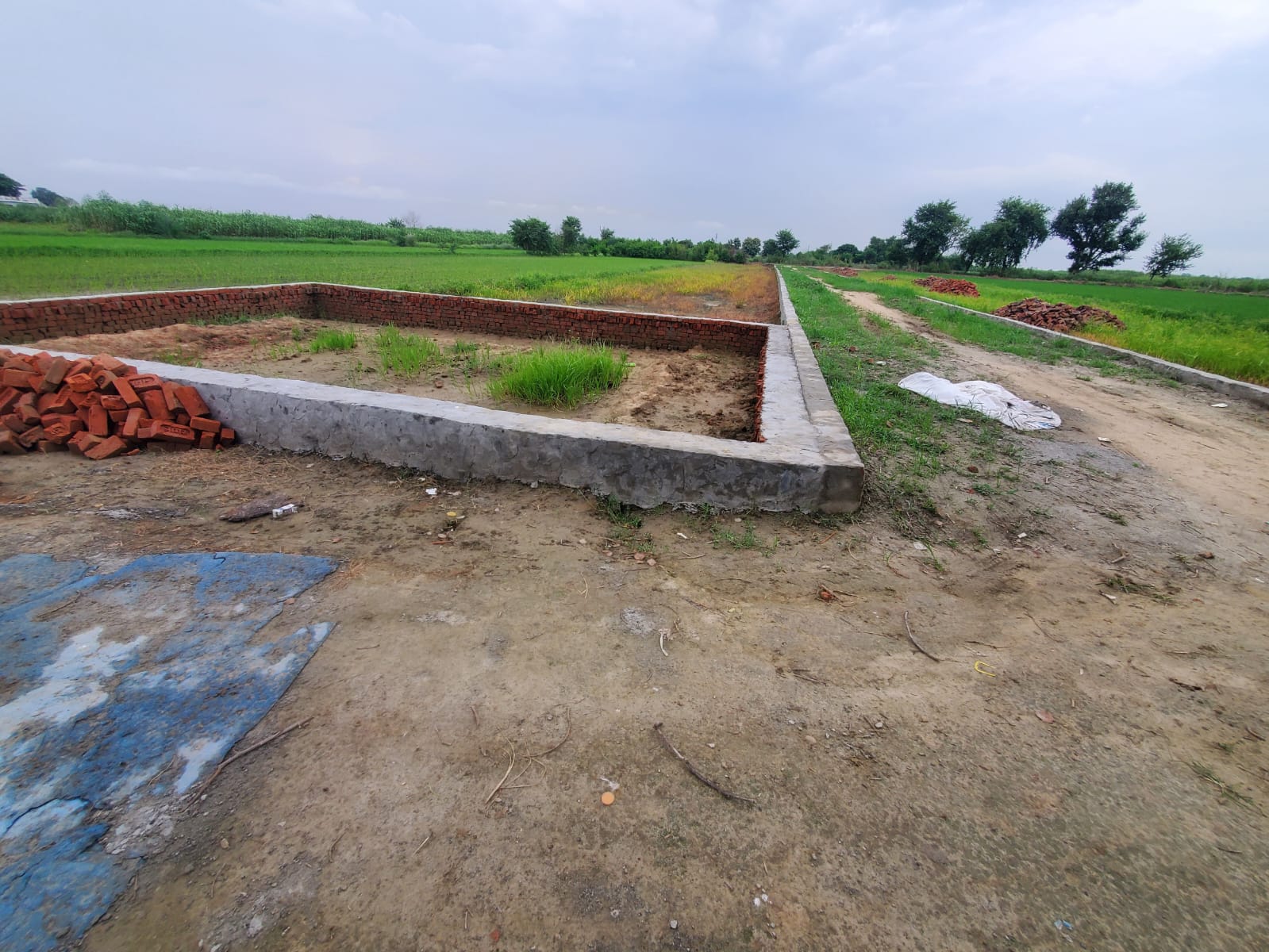 900 sqft plot in Bambawar