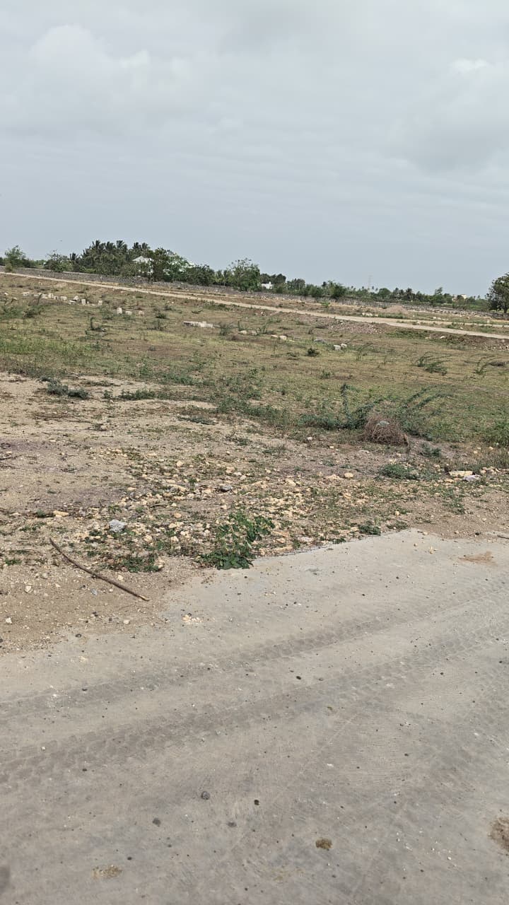 963 sqft plot in Ranavav
