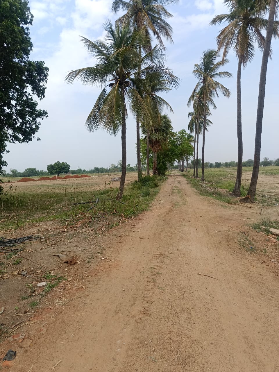 16.07 decimal plot in Mundara