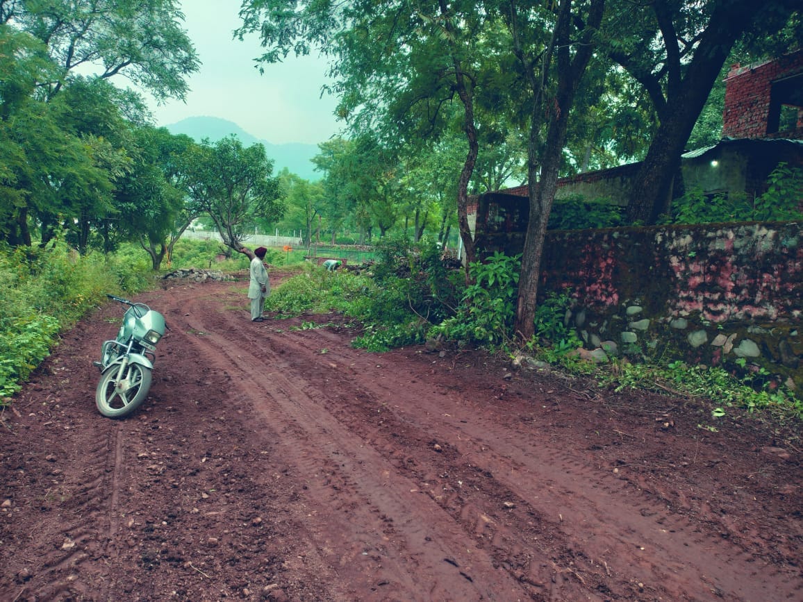 30 bigha plot in Pisawa