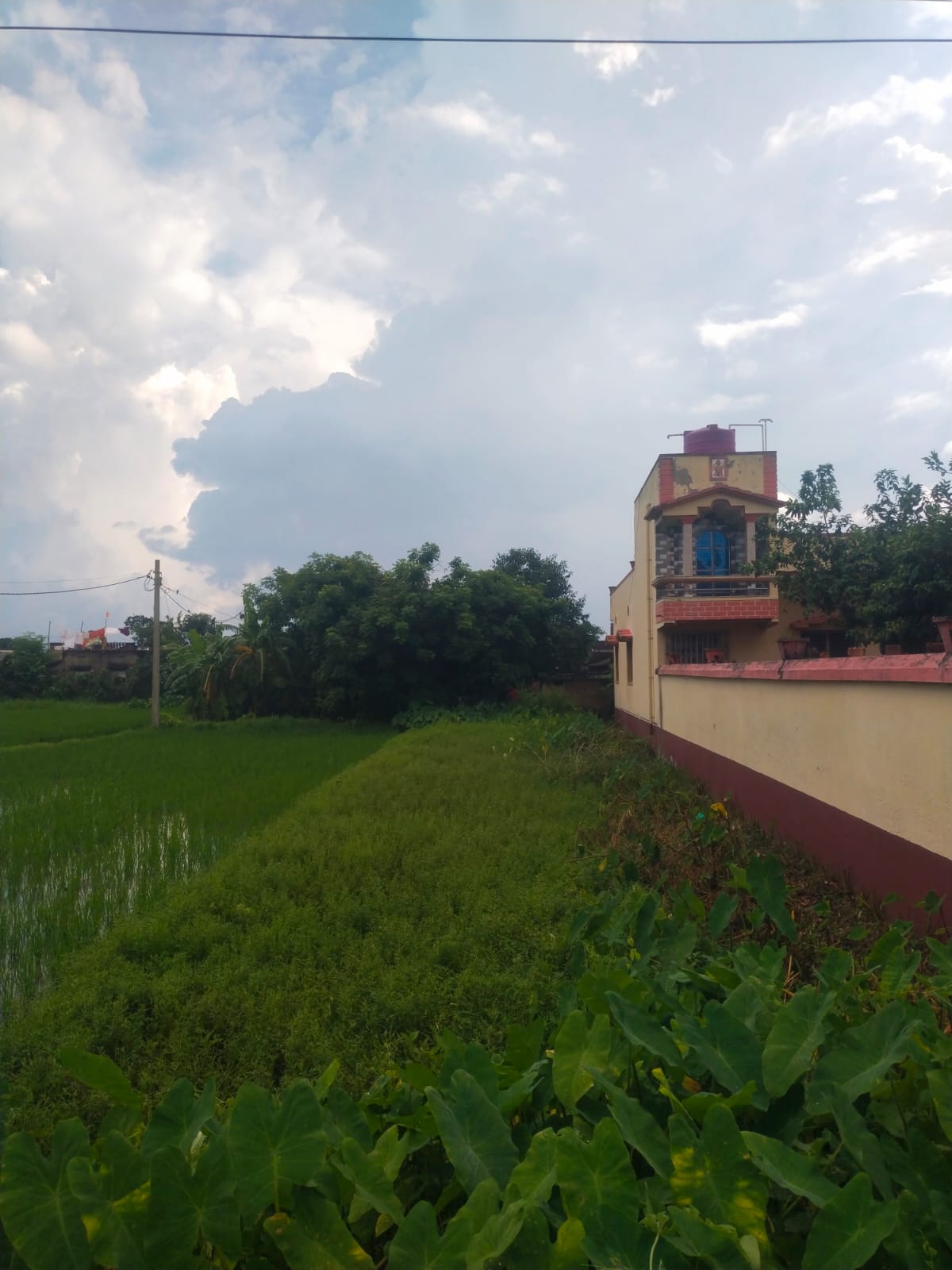 2160 sqft plot in Haripal