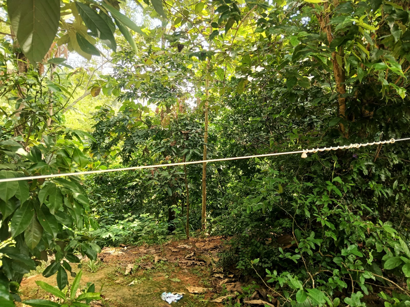 23400 sqft plot in Sonatala