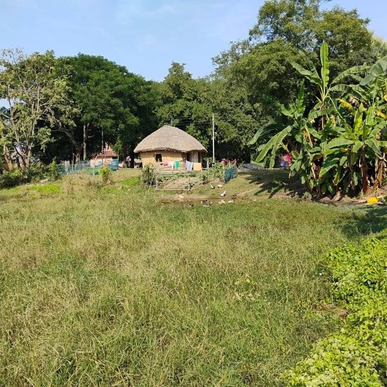 13 bigha plot in Santiniketan