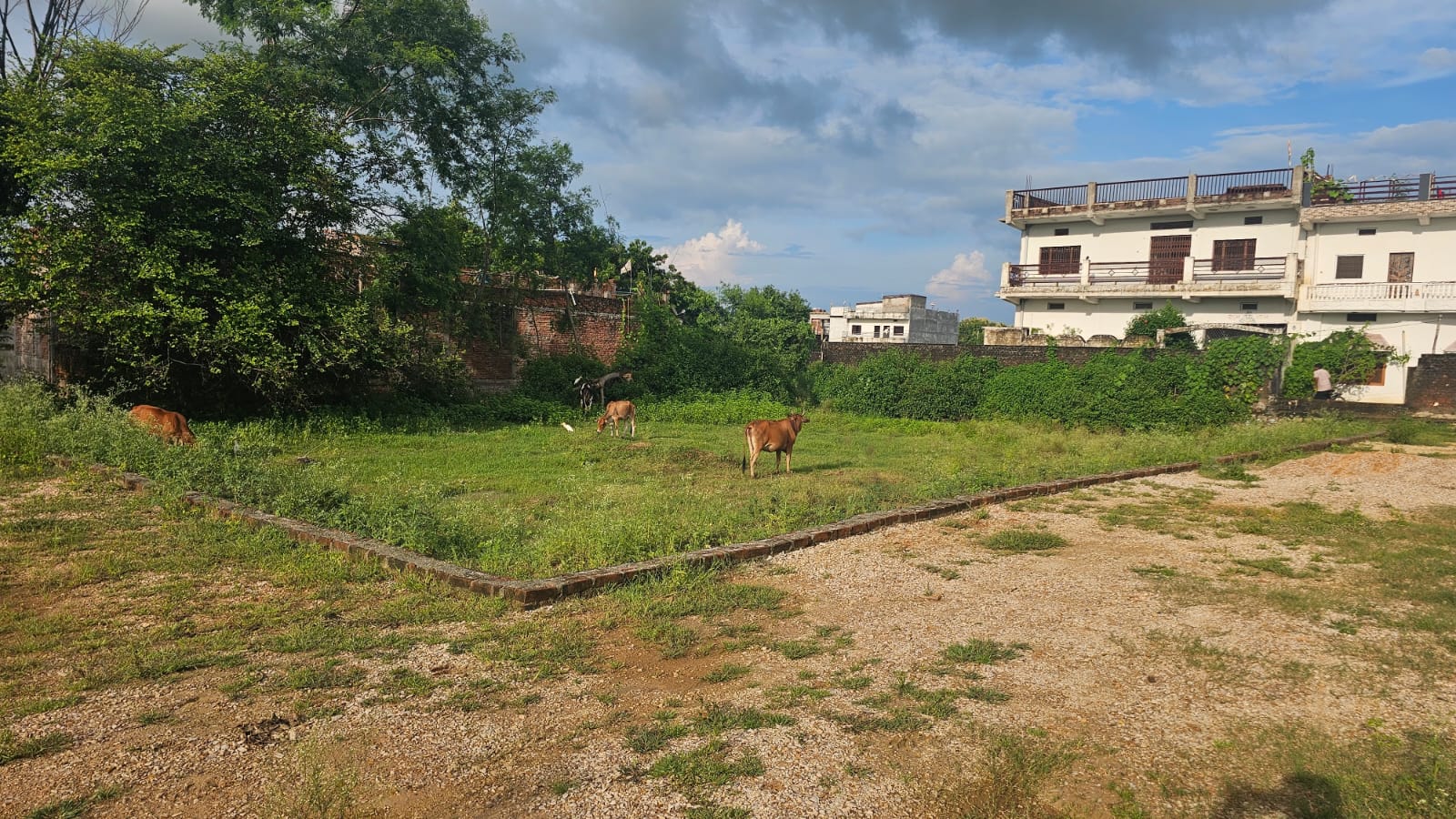 1440 sqft plot in New Colony, Robertsganj