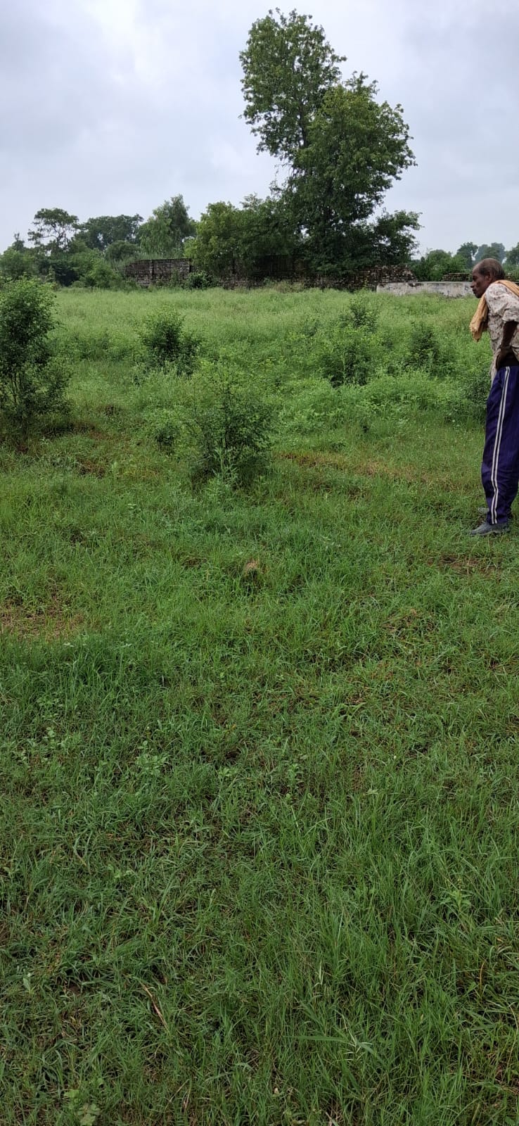 54 bigha plot in Khera