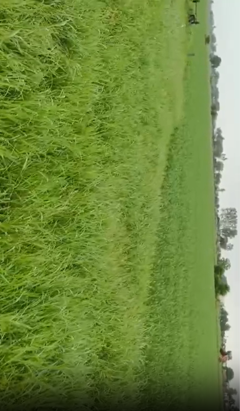 3 acre plot in kajiwada mohalla, Palwal