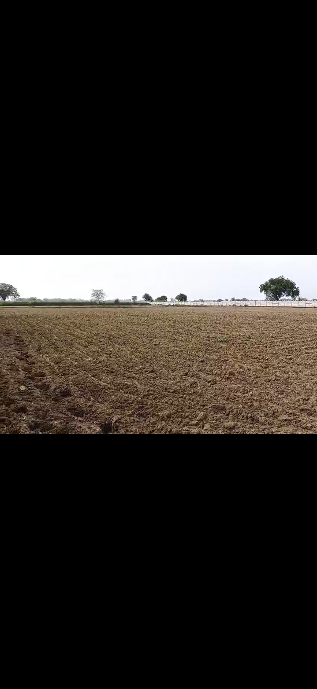 1.5 bigha plot in Ral