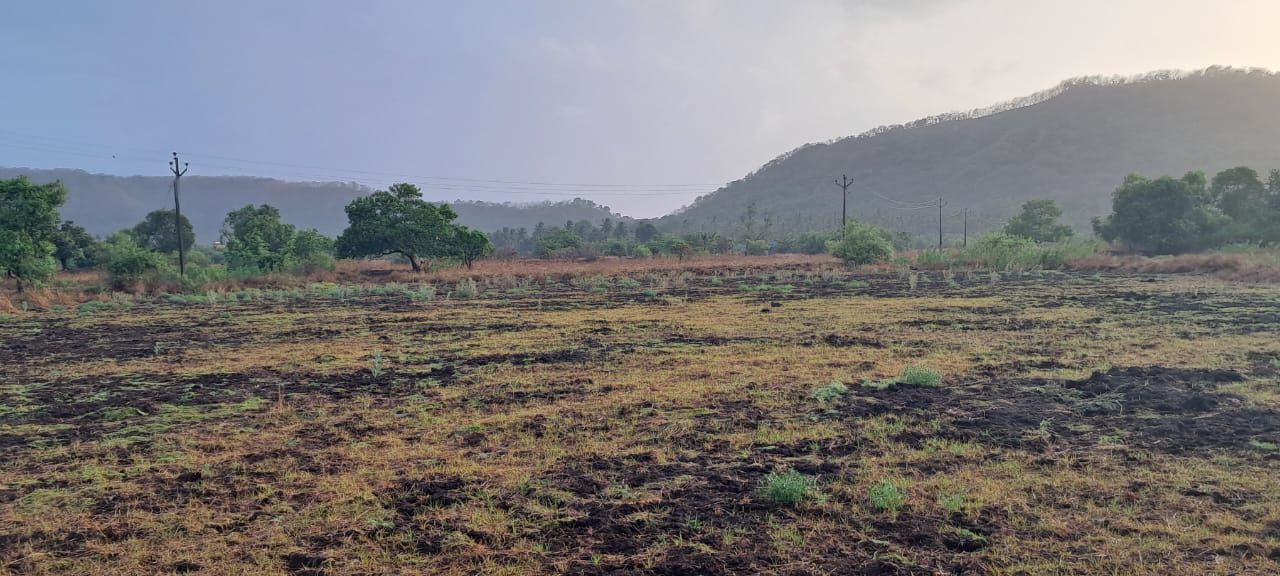 1000 sqft plot in Mandala, Mumbai